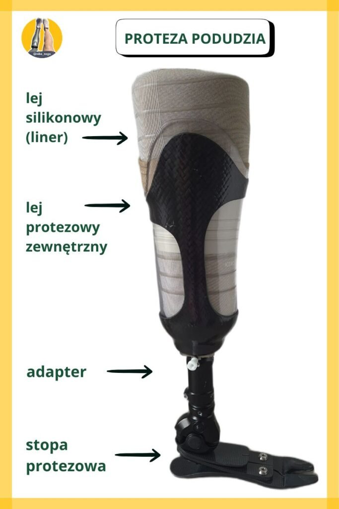 Rodzaje protez kończyn - Proteza podudzia